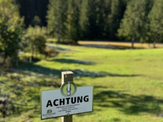 IMG_1901
